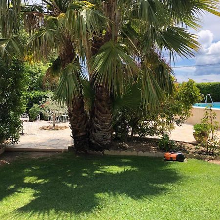 Maison Du Midi Bed and Breakfast Lorgues Esterno foto